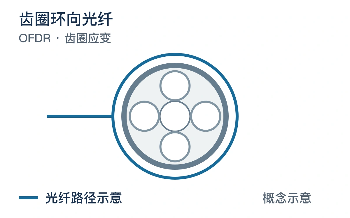 齿圈环向光纤与光纤路径的原创布设概念图